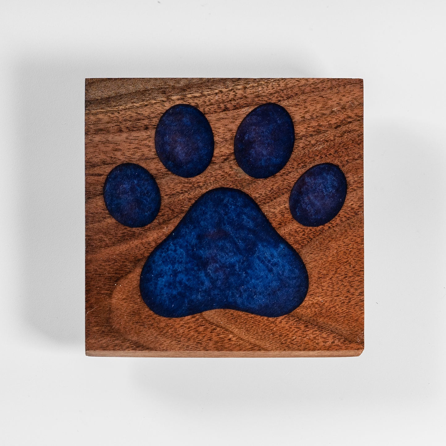 Walnut Blue Paw Print